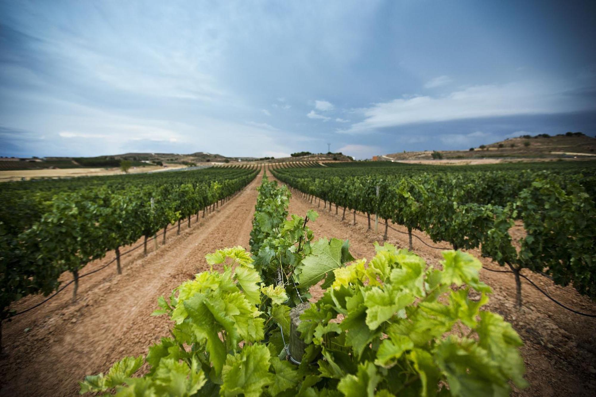 Hotel Spa Tudanca Aranda Aranda de Duero Eksteriør bilde